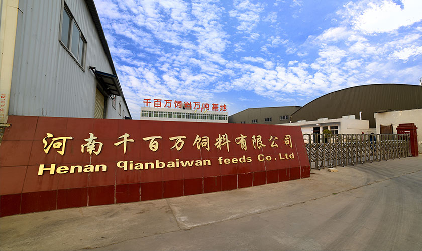 综合实力